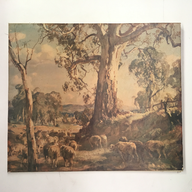 ARTWORK, Landscape (Medium) - Sheep w Gum Trees (No Frame)